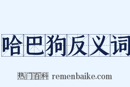 哈巴狗反义词是什么意思的图片